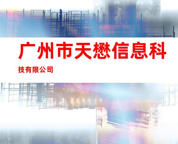 广州市天懋信息科技有限公司